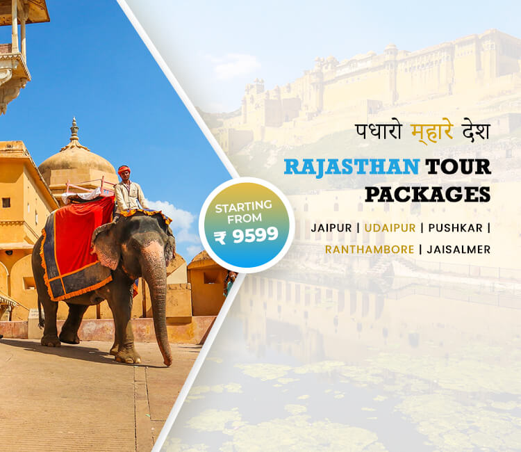 travel packages of rajasthan